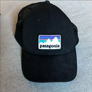Patagonia Trucker Hat